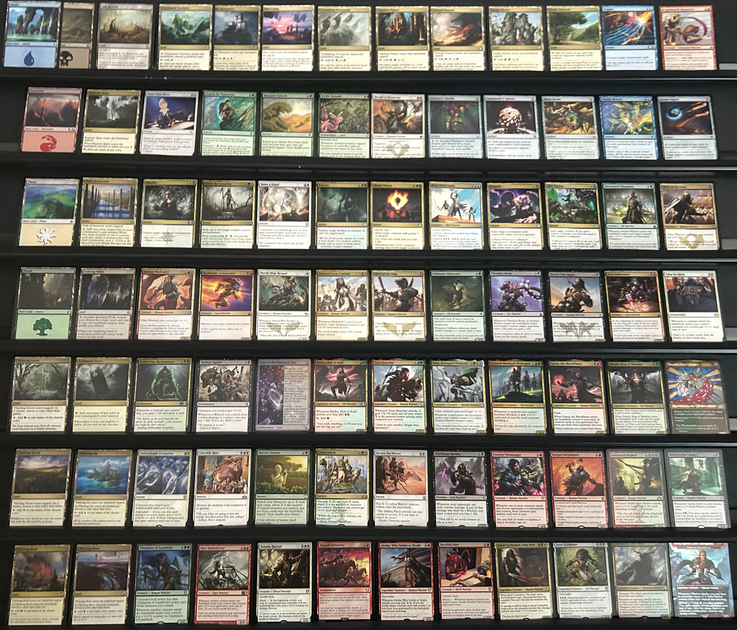Najeela, the Blade-Blossom - Warriors 2.0