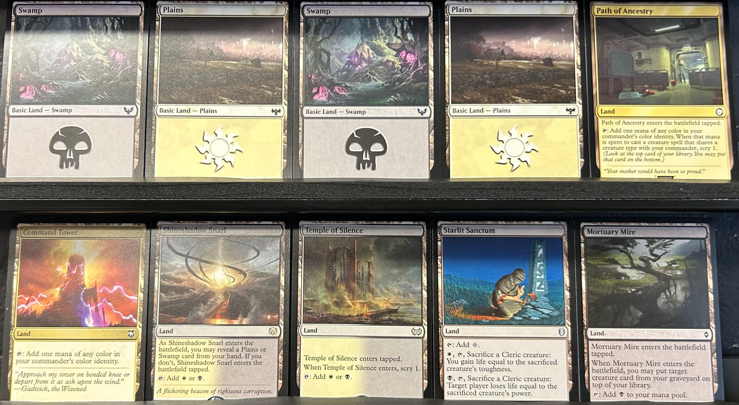 Nalia de'Arnise - Dungeons & Dragons Party