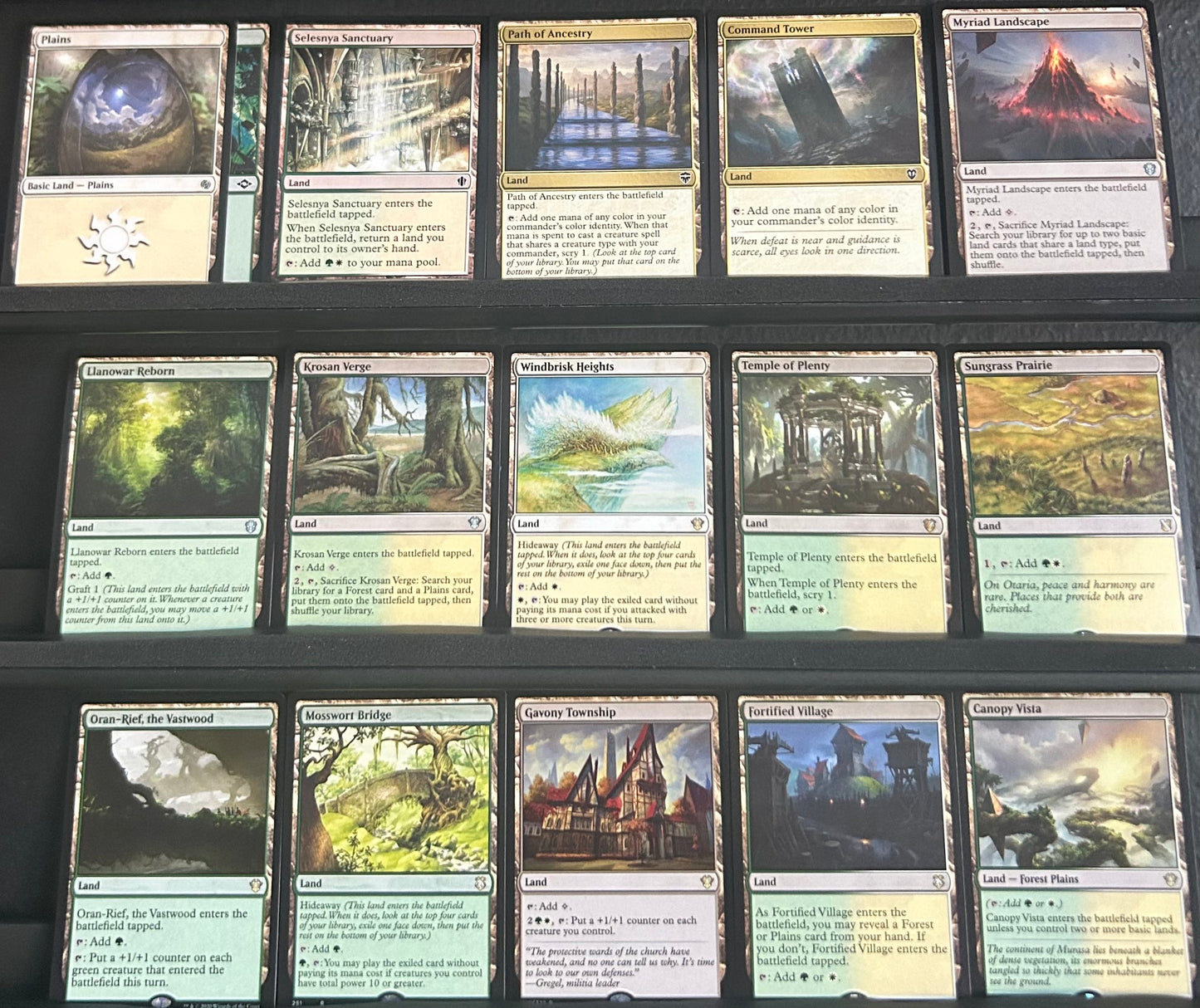 Hamza, Guardian of Arashin - Elephants