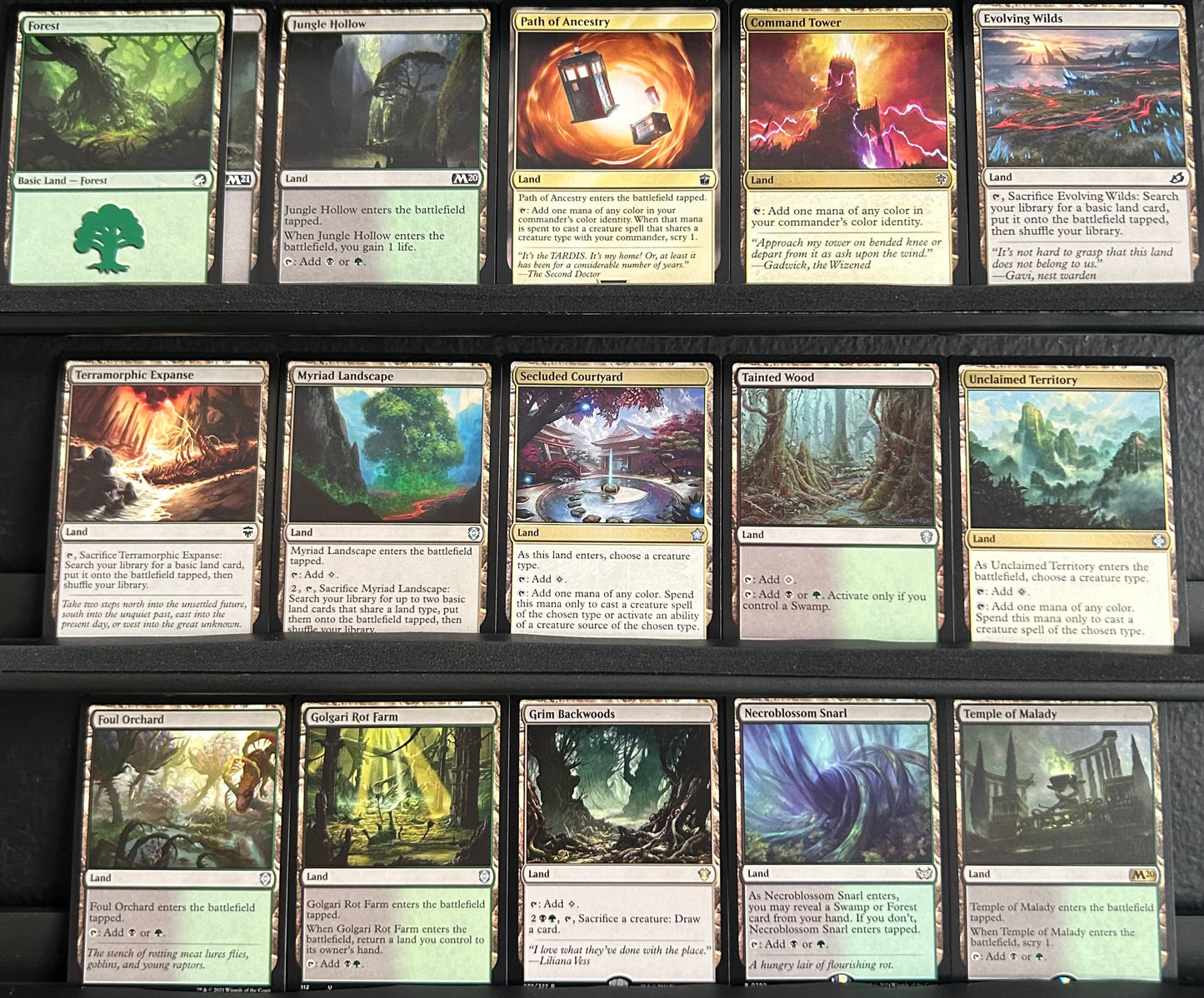 Shelob, Child of Ungoliant - Spider Food