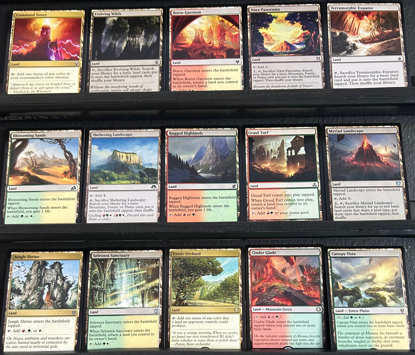 Atla Palani, Nest Tender - Dinosaur Eggs