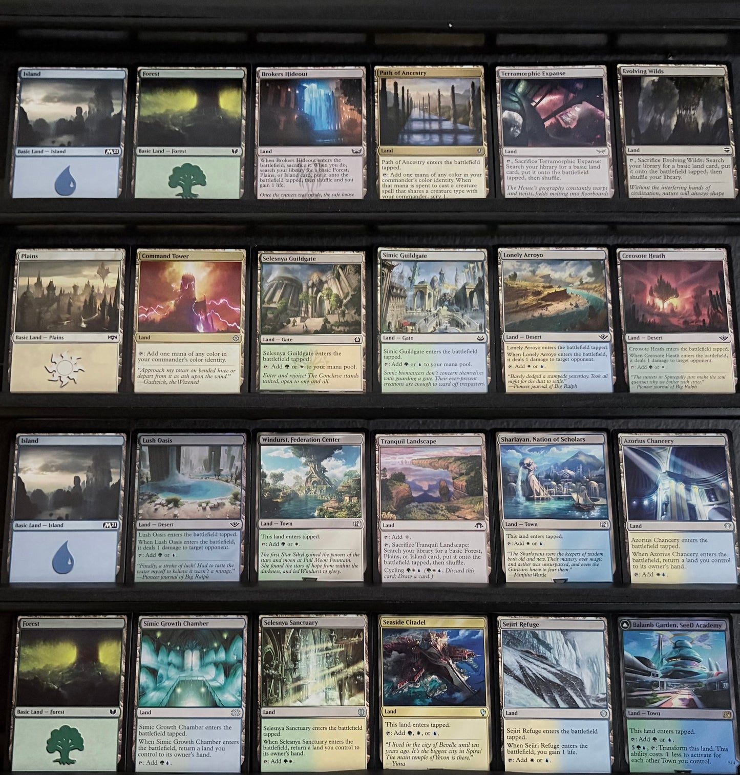 Choco, Seeker of Paradise - Landfall & Birds