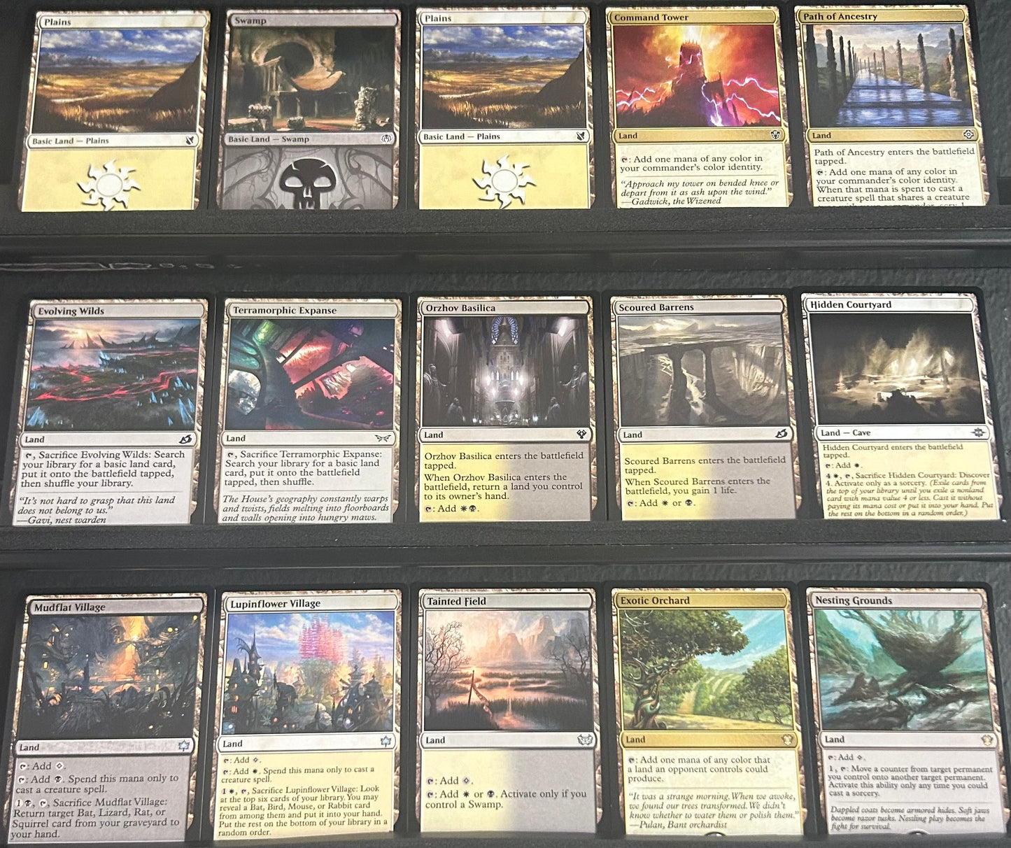 Zoraline, Cosmos Caller - Bats and Lifegain - MTG