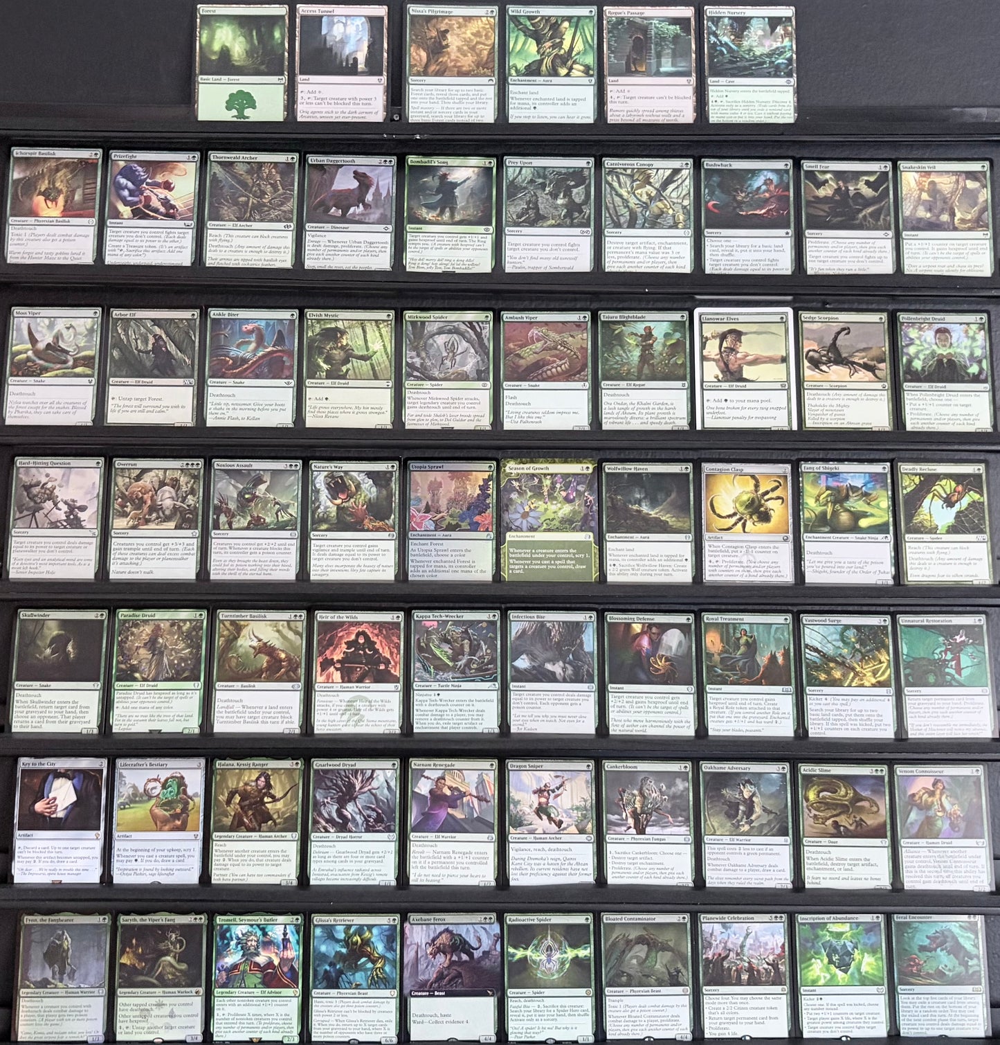 Fynn, the Fangbearer - Deathtouch Poison