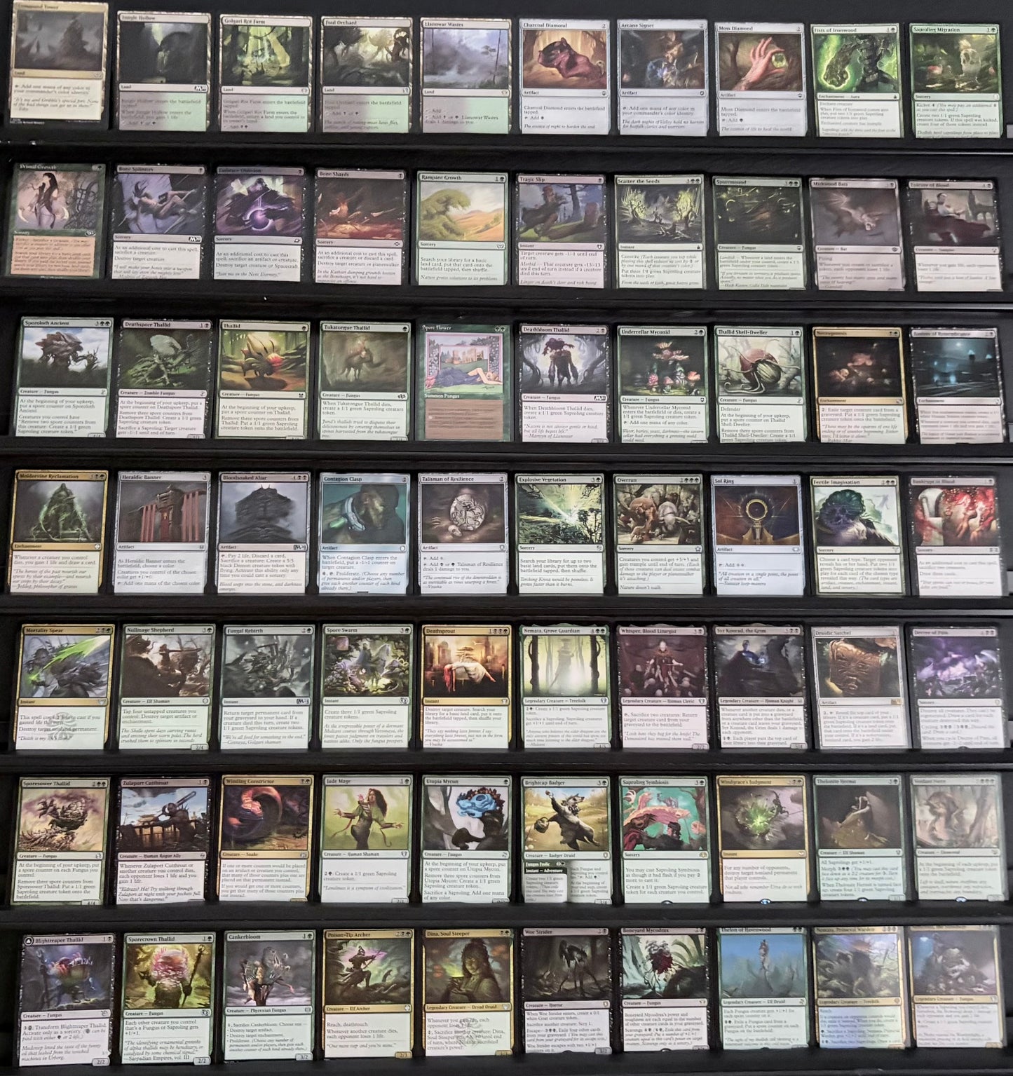 Slimefoot, the Stowaway - Saproling Tokens