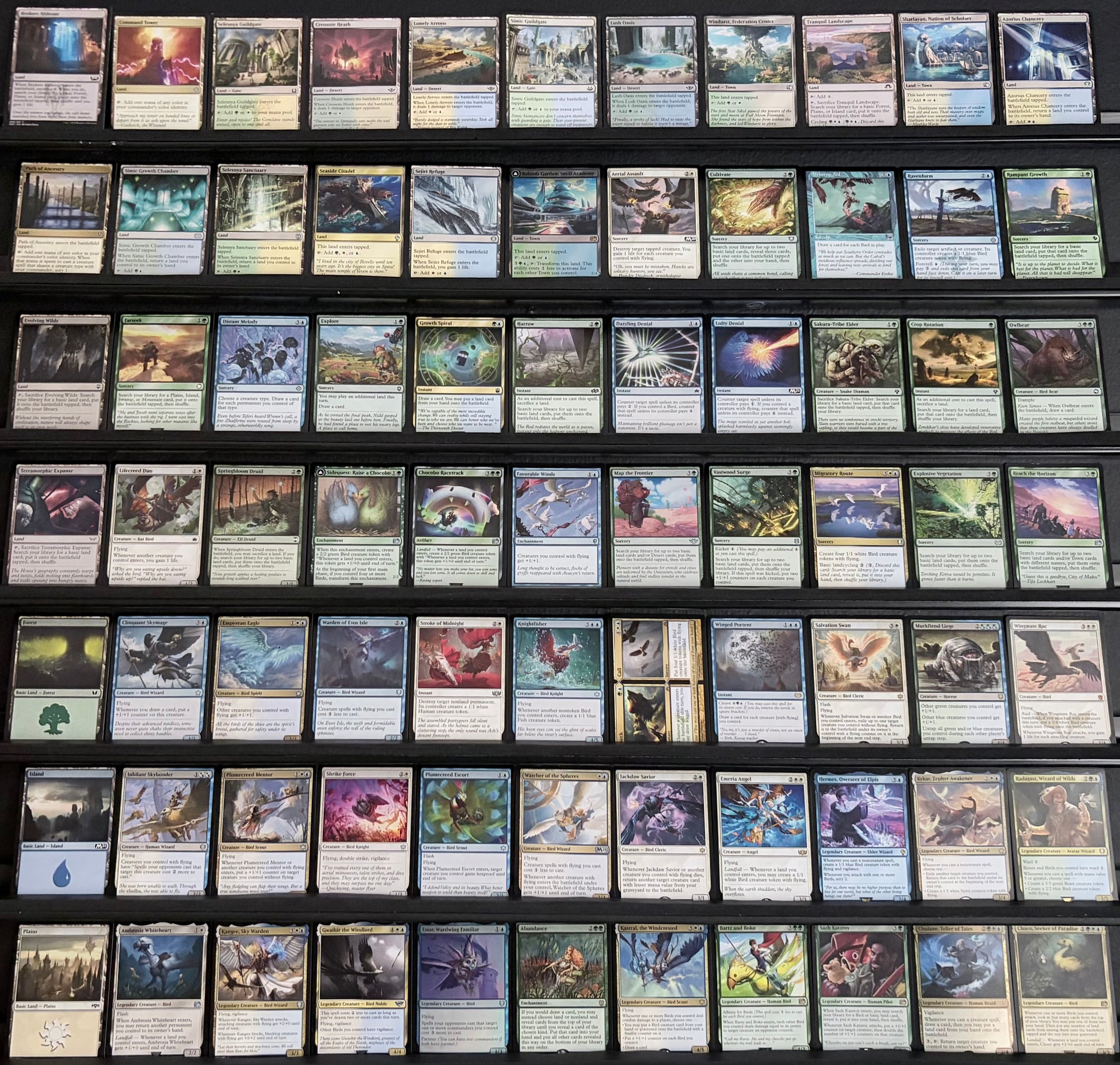 Choco, Seeker of Paradise - Landfall & Birds Thursday Night Magic Choco, Seeker of Paradise - Landfall & Birds Thursday Night Magic