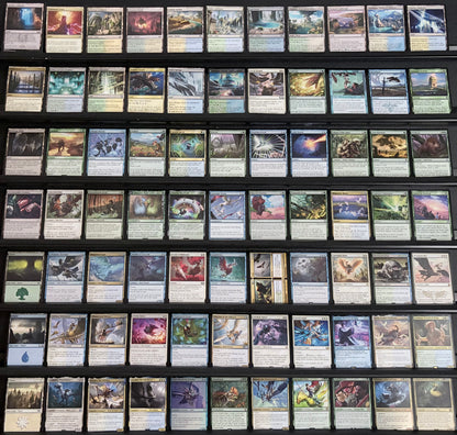 Choco, Seeker of Paradise - Landfall & Birds