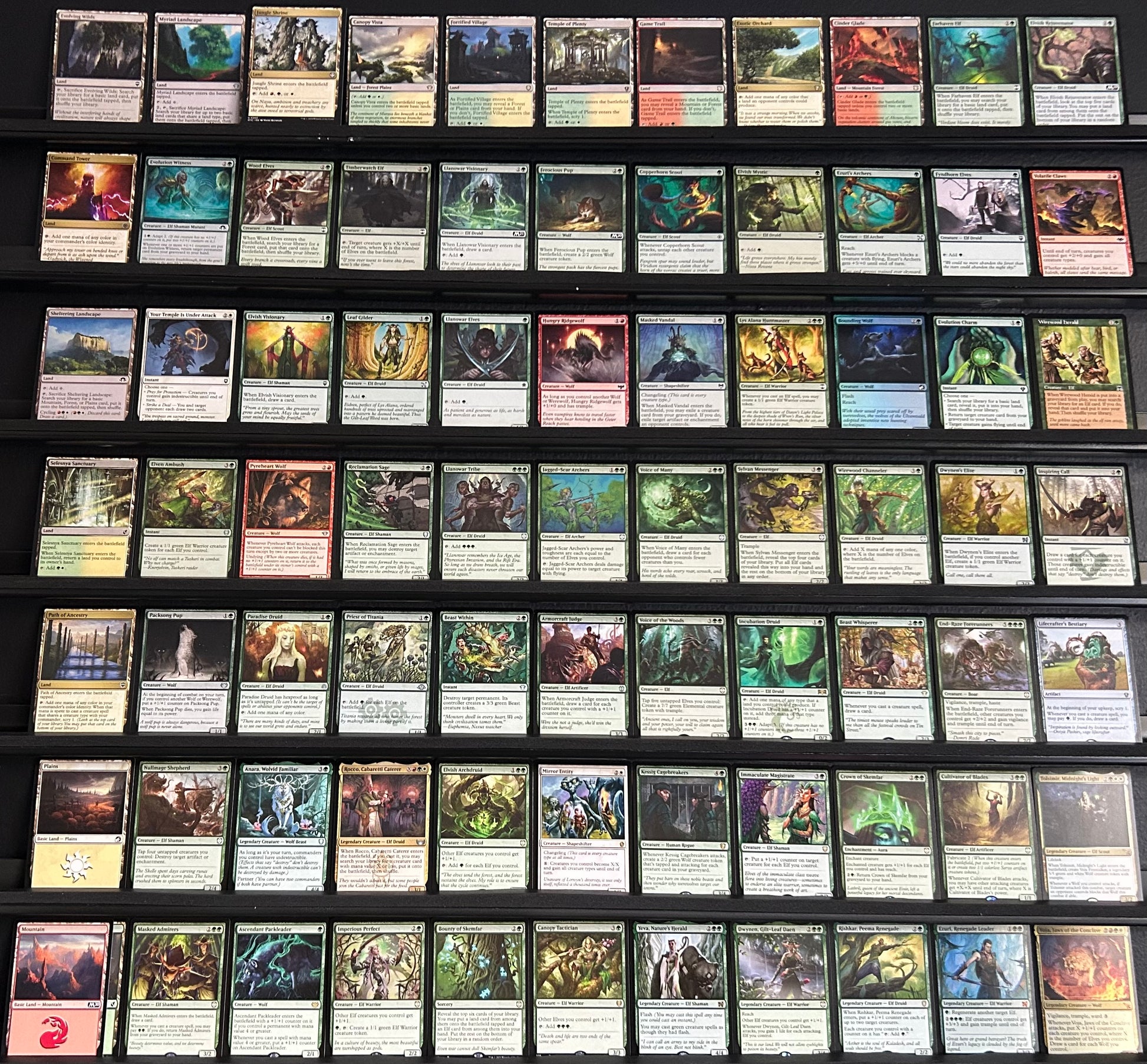 Voja, Jaws of the Conclave - Elves and Wolves Thursday Night Magic Voja, Jaws of the Conclave - Elves and Wolves Thursday Night Magic