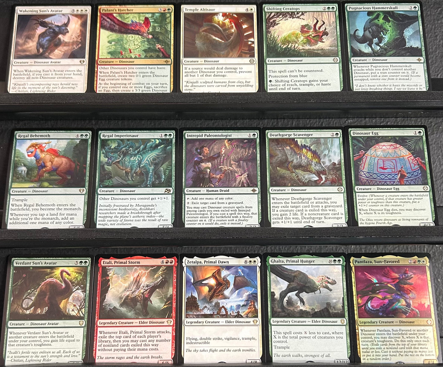 Pantlaza, Sun-Favored - Dinosaur Discovery