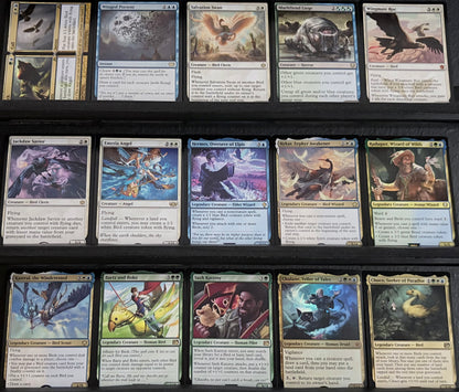 Choco, Seeker of Paradise - Landfall & Birds