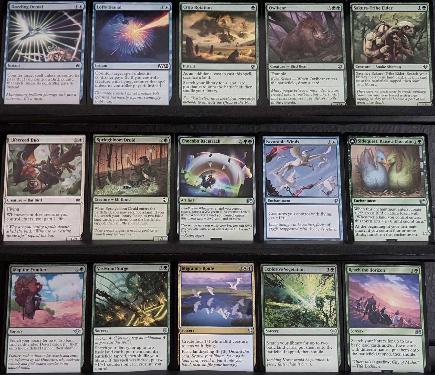 Choco, Seeker of Paradise - Landfall & Birds