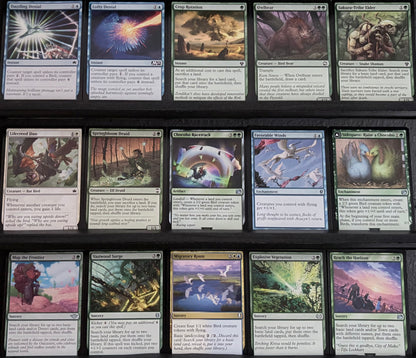 Choco, Seeker of Paradise - Landfall & Birds