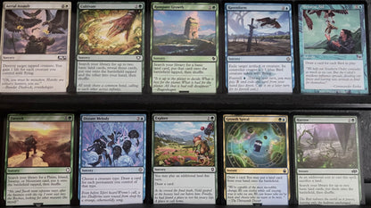 Choco, Seeker of Paradise - Landfall & Birds