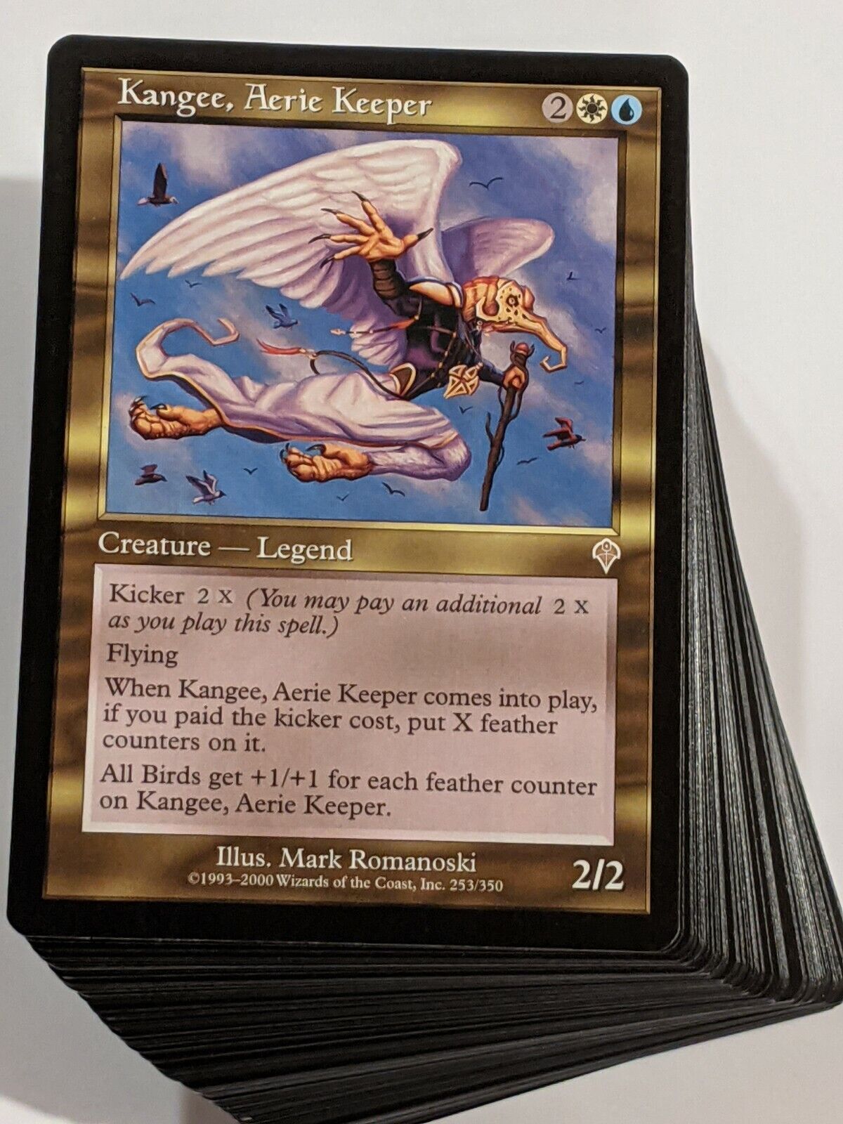 Kangee, Aerie Keeper - Birds